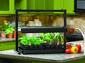 Energy efficient, long lasting and high intensity grow lights promote the greatest yields when growing tomatoes, peppers, eggplant and other fruiting plants indoors. (Photo courtesy of Gardener’s Supply)