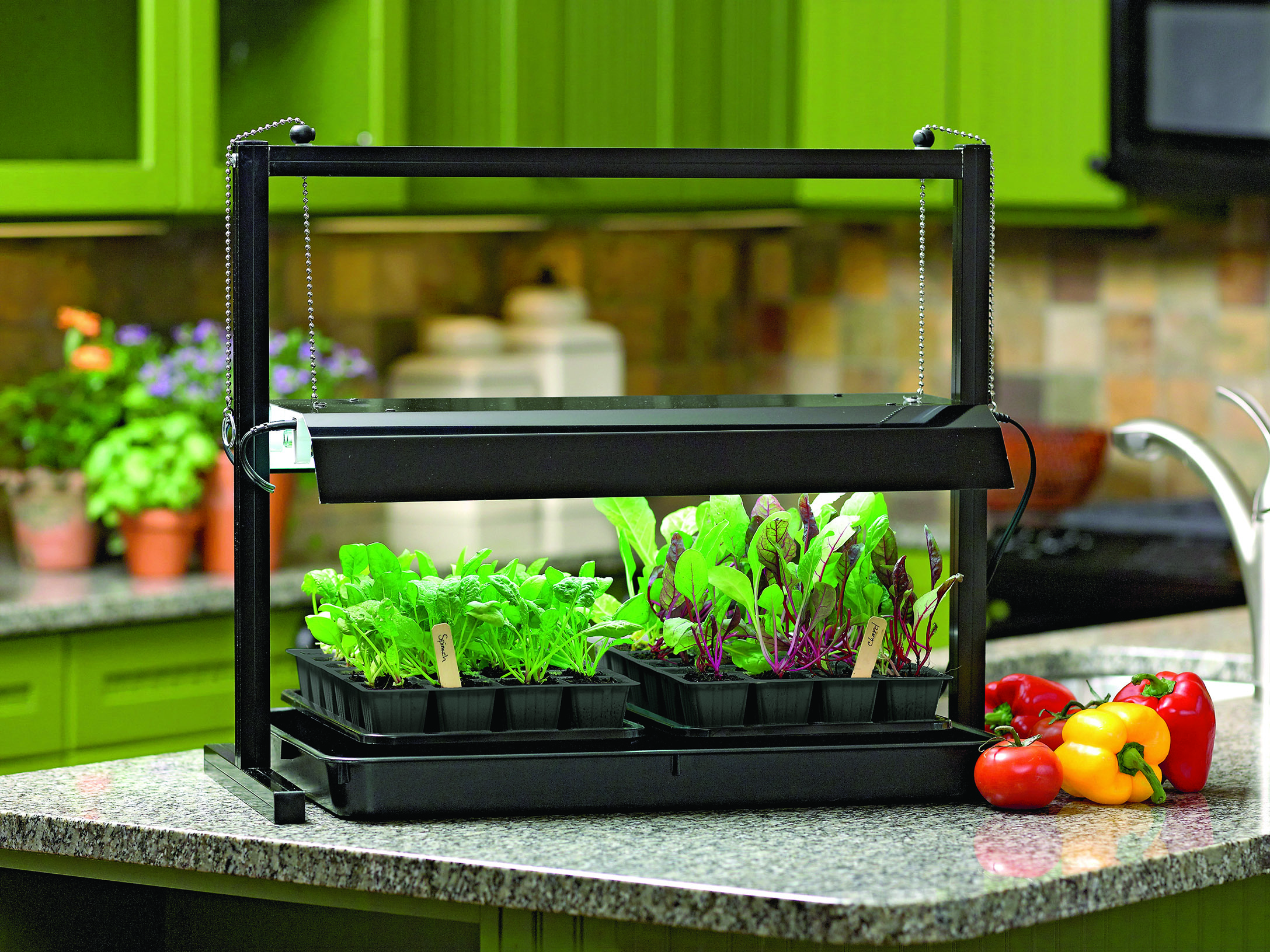 indoor garden technology enjoy homegrown flavor with an indoor garden vermont maturity indoor garden technology enjoy homegrown flavor with an indoor garden vermont maturity