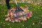 BBB Offers Tips on Finding Reliable Help for Fall Cleanup and Maintenance