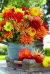 Add Drama to Summer Gardens with Dahlias
