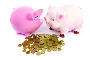 Two piggy banks with euro coins on white