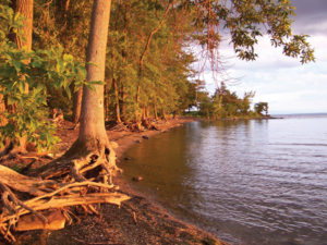 Kamp Kill Kare State Park