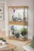 How to Brighten Your Home with Houseplants that Bloom
